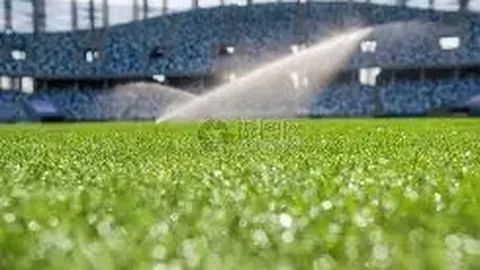 扬帆海港，荣耀加冕！奥斯卡官方发声：辉煌冠军，共庆辉煌时刻！向英勇队友与热情球迷致敬！