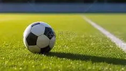 华体会体育 资讯 083503 mmd