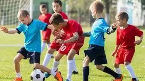 华体会体育 资讯 083553 n0p